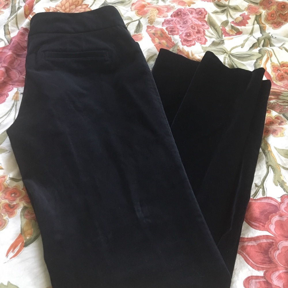 BANANA REPUBLIC Velvet Pants- Size 12 Sloan Fit